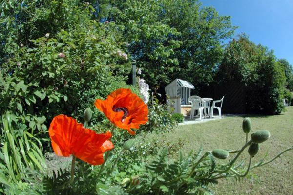 Landhaus Haack Tumlauer Koog Dış mekan fotoğraf