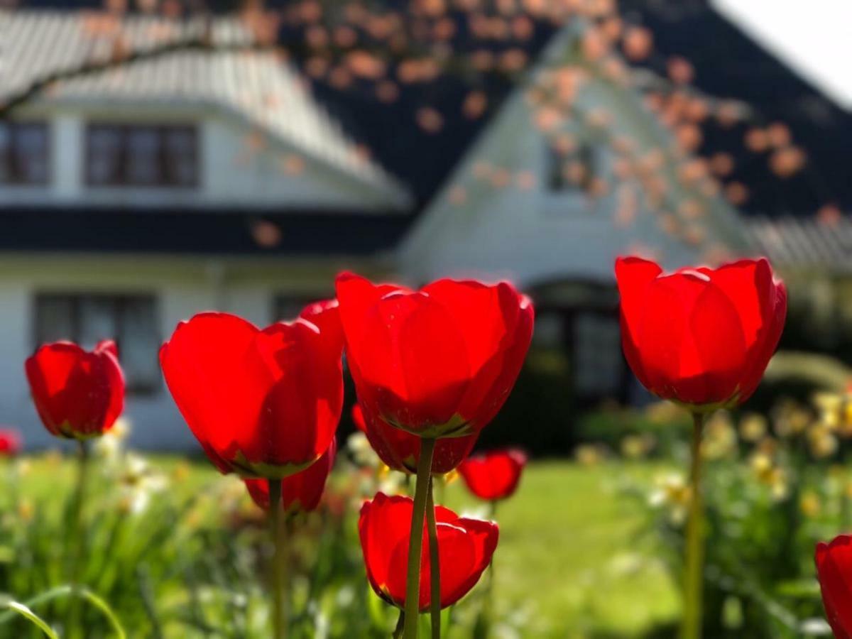 Landhaus Haack Tumlauer Koog Dış mekan fotoğraf