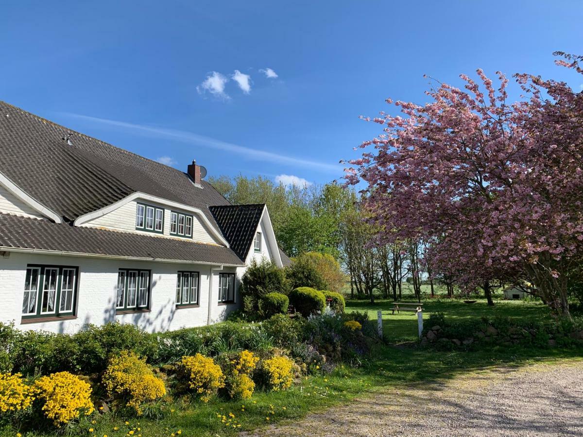 Landhaus Haack Tumlauer Koog Dış mekan fotoğraf