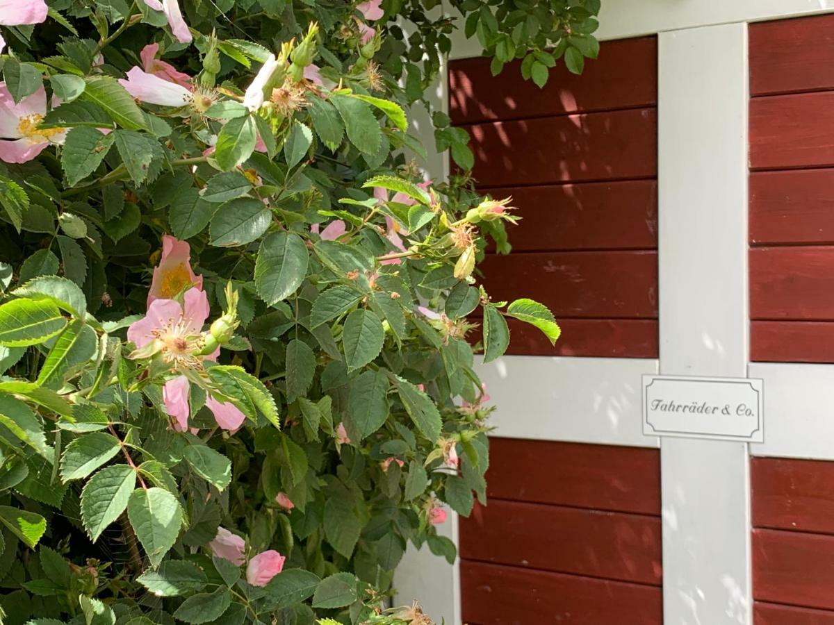 Landhaus Haack Tumlauer Koog Dış mekan fotoğraf